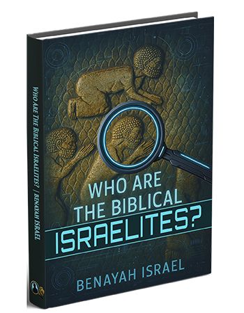 Who Are The Biblical Israelites?  (Paperback Book) - Image 3