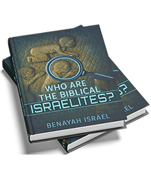 Who Are The Biblical Israelites?  (Paperback Book) - Image 2